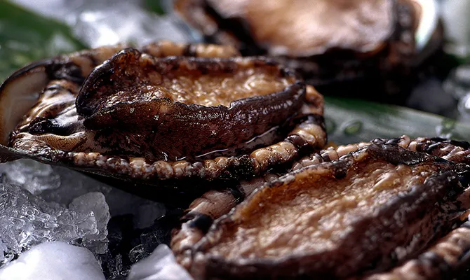 活鮑の炭火焼き